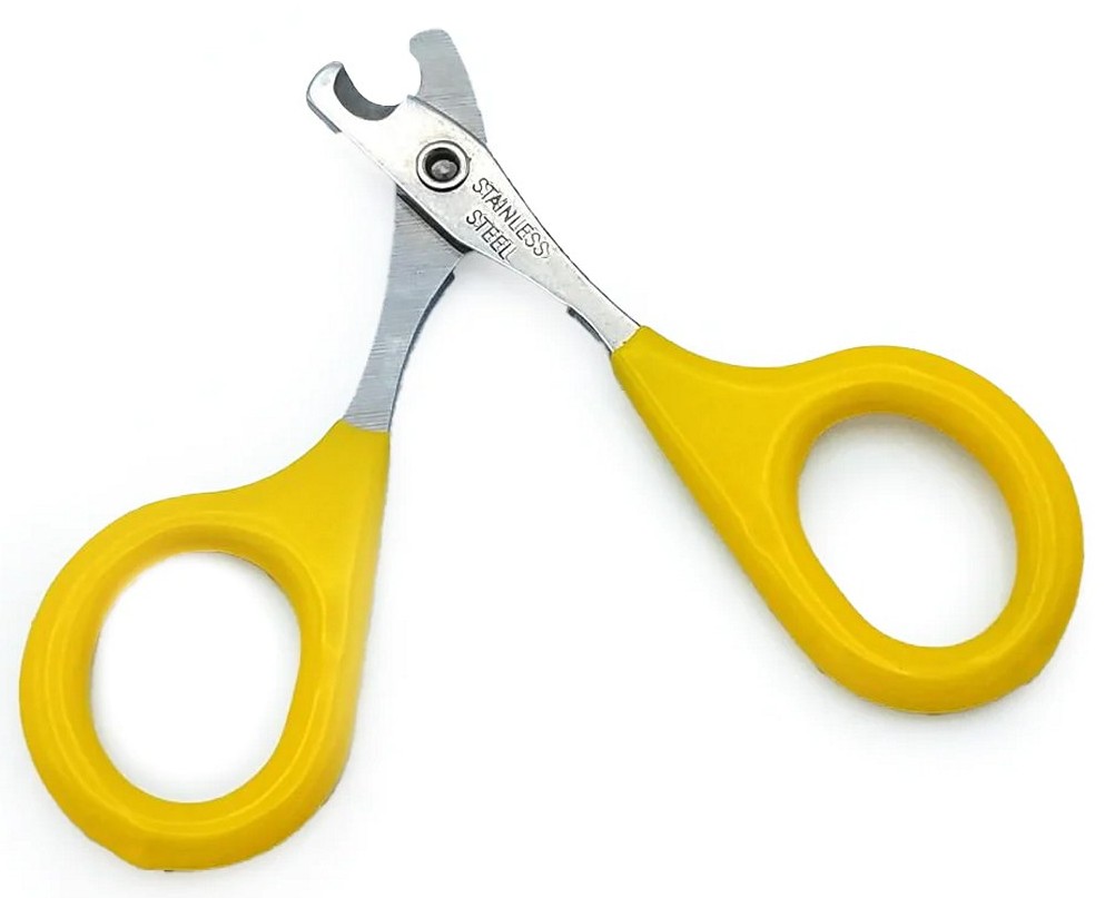 Several Nail Clippers Different Types And Sizes And Nail Scissor Stock  Photo - Download Image Now - iStock